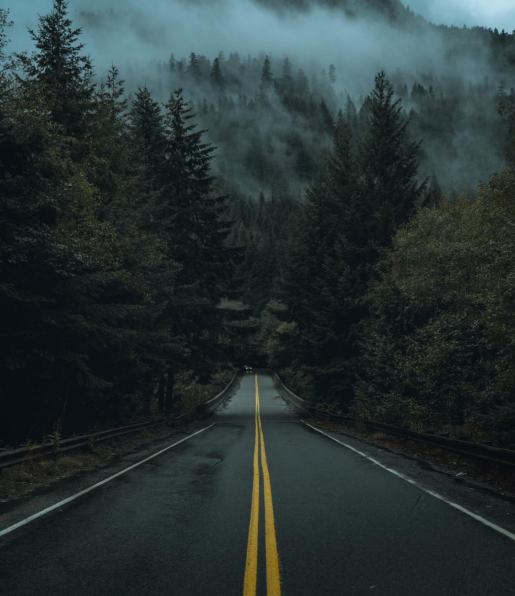visualsofearth1's tweet photo. Moody PNW roads https://t.co/fM5m2nOdIm