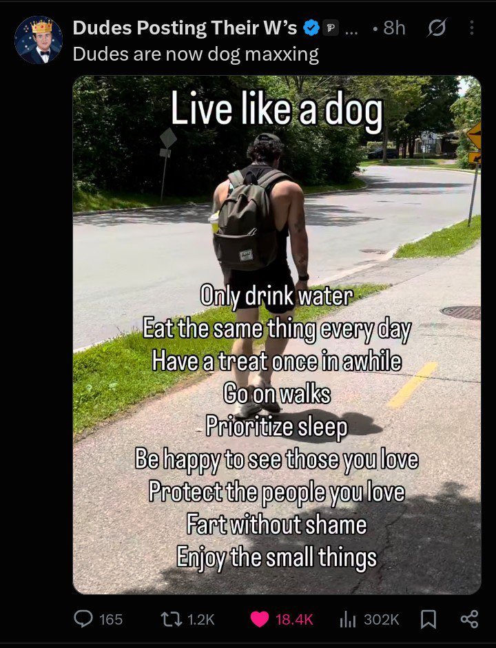 BtcMandela's tweet photo. dog maxxing will be the new retard maxxing https://t.co/WY9dMIL4Qo