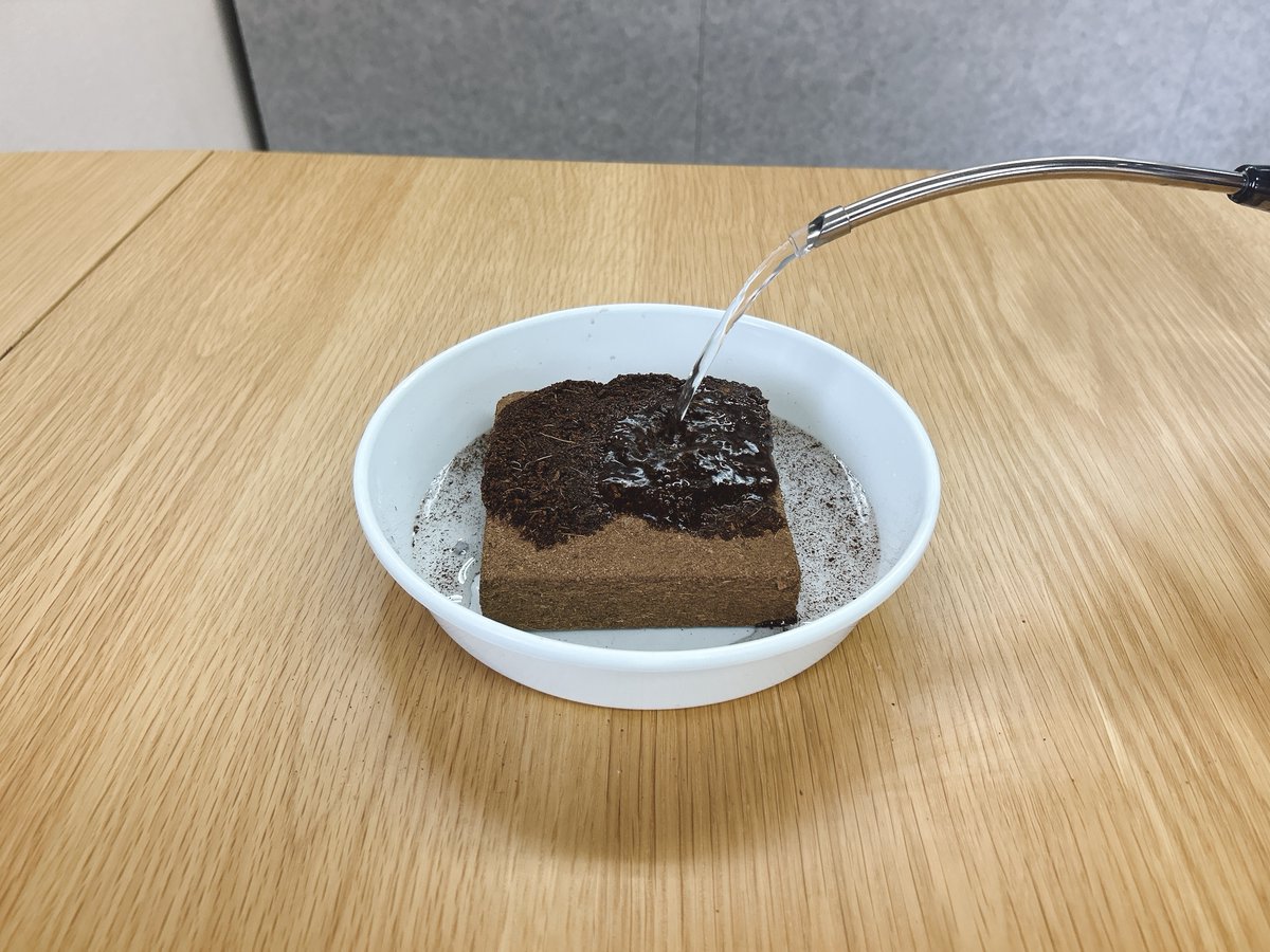 これ…実は『土』なんです😳✨ 水を加えるとふんわり膨らんで培養土に