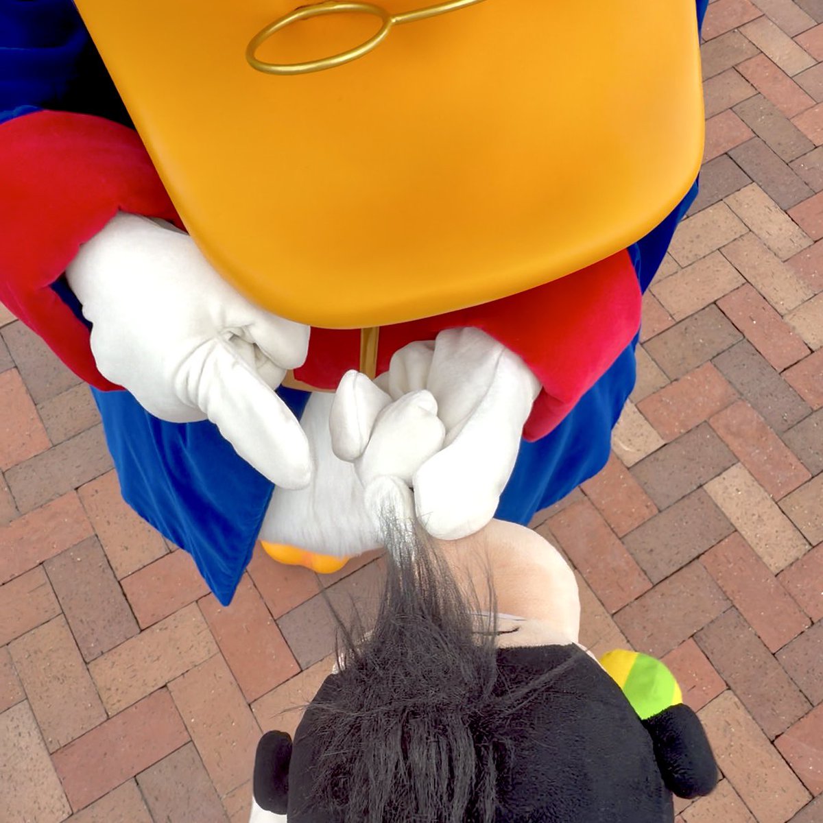 HI_Maxie's tweet photo. 鼻取られる‼️‼️‼️‼️‼️‼️‼️‼️ https://t.co/QOuv6TuIsI