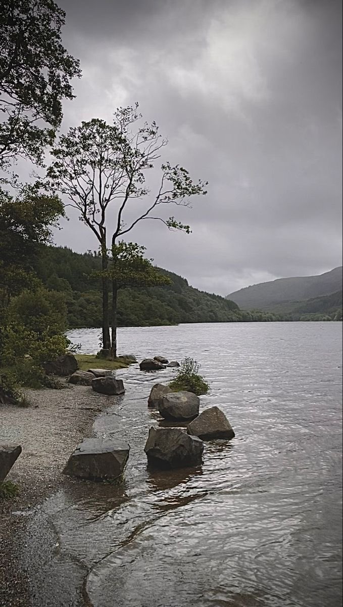 spooky_nature's tweet photo. morning mist, quiet lake, zero noise https://t.co/E6m3t5yeWF