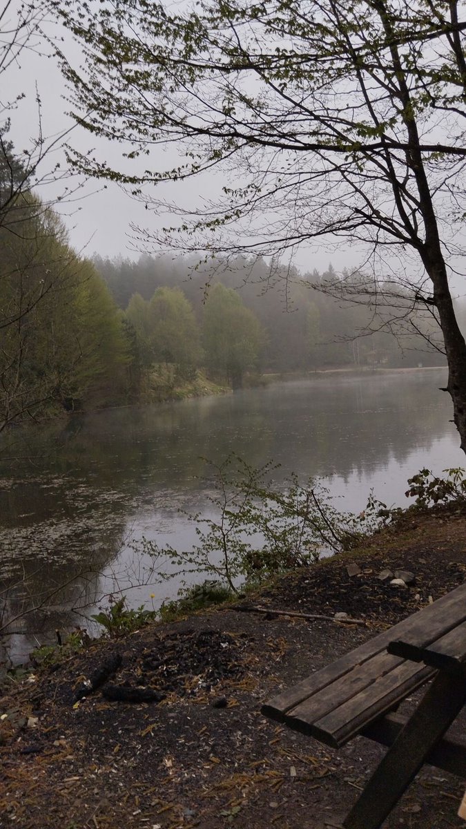 spooky_nature's tweet photo. morning mist, quiet lake, zero noise https://t.co/E6m3t5yeWF