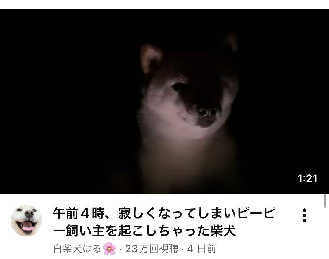 DsMoppy's tweet photo. サムネが優勝 https://t.co/kQOdm7UwAr