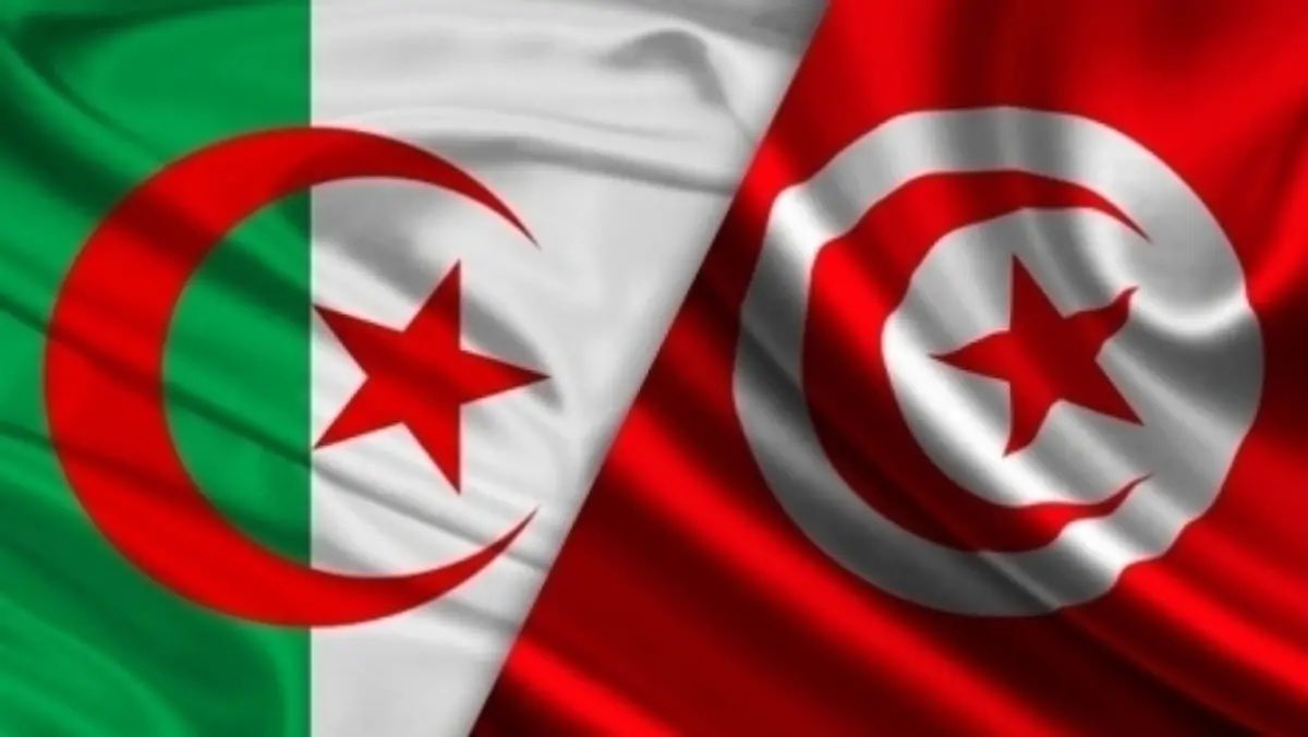 jalelouerghi's tweet photo. نتوقع دوما من #الجزائر  أن تكون إلى جانب #تونس في إطار العلاقات الأخوية التاريخية بين الشعبين الشقيقين والبلدين الجارين..وكلما كانت تونس مستقرة قوية، على قاعدة نظام سياسي ديمقراطي يعبر عن إرادة التونسيين وتطلعاتهم في الحرية والكرامة، كلما عزز ذلك علاقاتها الاستراتيجية مع فضائها المغاربي على رأسه الجزائر الحبيبة. وحراك التونسيين ضد منظومة حكم قيس سعيد الفاشلة والكريهة، هو  مسار  في سياق كفاح التونسيين من أجل نظام حكم رشيد، يليق بهم وبتاريخهم..المؤكد أننا لن نسمح لنظام قيس سعيد أن يشوش على علاقة الشعبين الشقيقين التونسي والجزائري، علاقة أكبر بكثير  من عمر دكتاتورية صغيرة يقودها قيس سعيّد الذي اختطف البلاد، وغدر، خيانة لدستور الثورة، الذي كان ميثاقا وعهدا بينه وبين التونسيين.