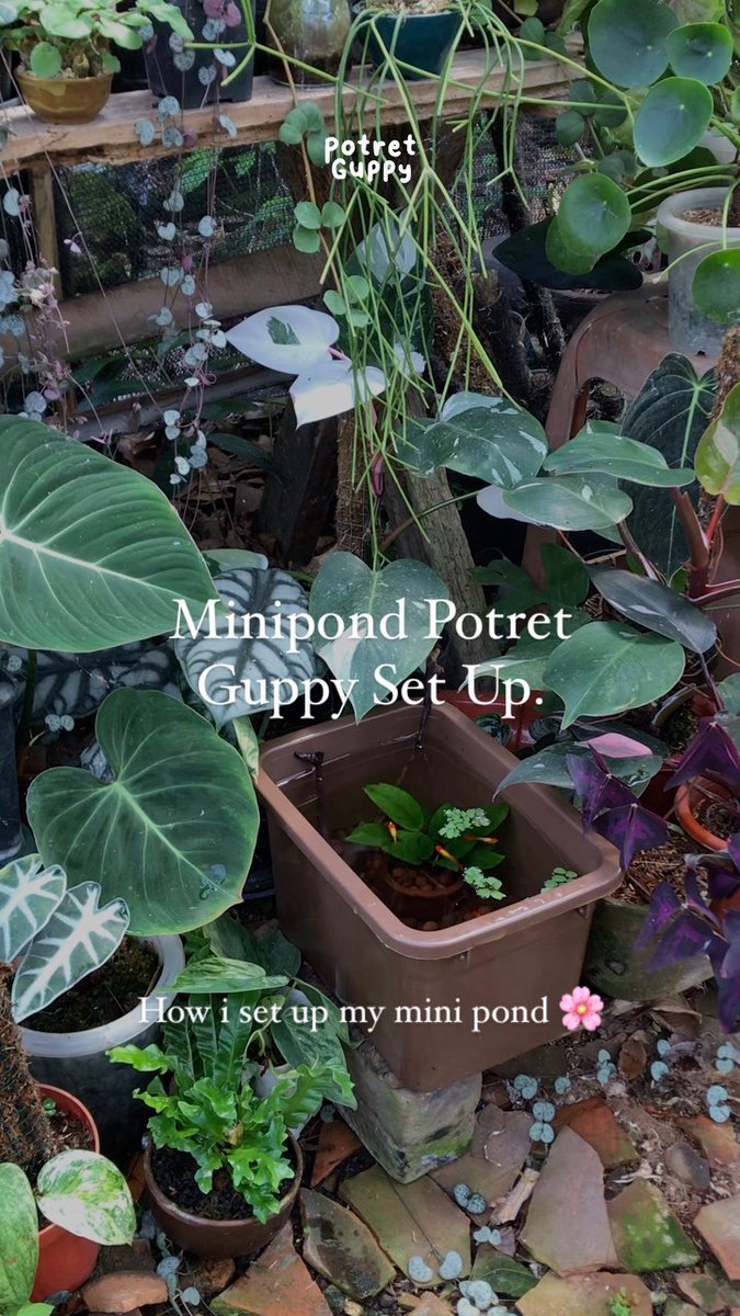 potretguppy's tweet photo. https://t.co/DKmKPTLMvw