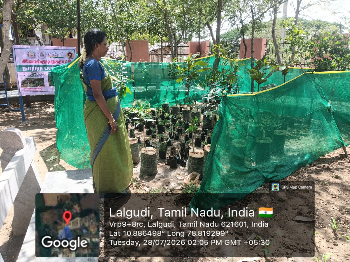 LalgudiCommr's tweet photo. இன்று இலால்குடி நகராட்சி பகுதியில் MCC,MRF,CT/PT,Nursery மற்றும் Urban Greening மரக்கன்றுகள் அனைத்தையும் தஞ்சாவூர் RDMA office PIU Staff பார்வையிட்டார்கள்.
 @Collector_Try @MawsTamilNadu @MoHUA_India @SwachhBharatGov @SwachSurvekshan @tnmaws @TNDIPRNEWS @Chief_Secy_TN https://t.co/CZacxu8o4w