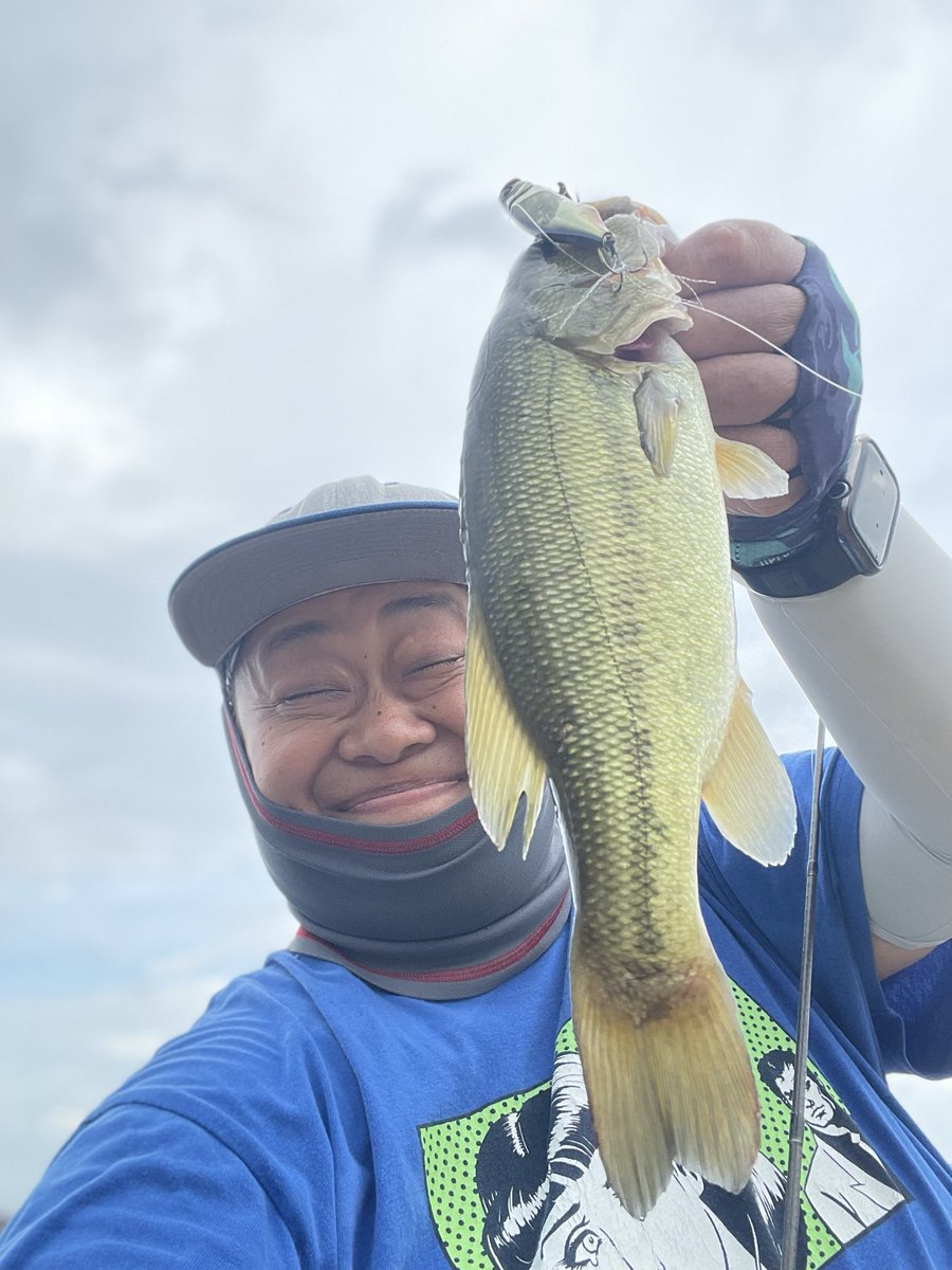 Bousou_Shingo's tweet photo. 歯医者終わってから夕まずめだけ霞水系へ！

今週もポッパーに好反応！ https://t.co/KvFxLFiZ2T