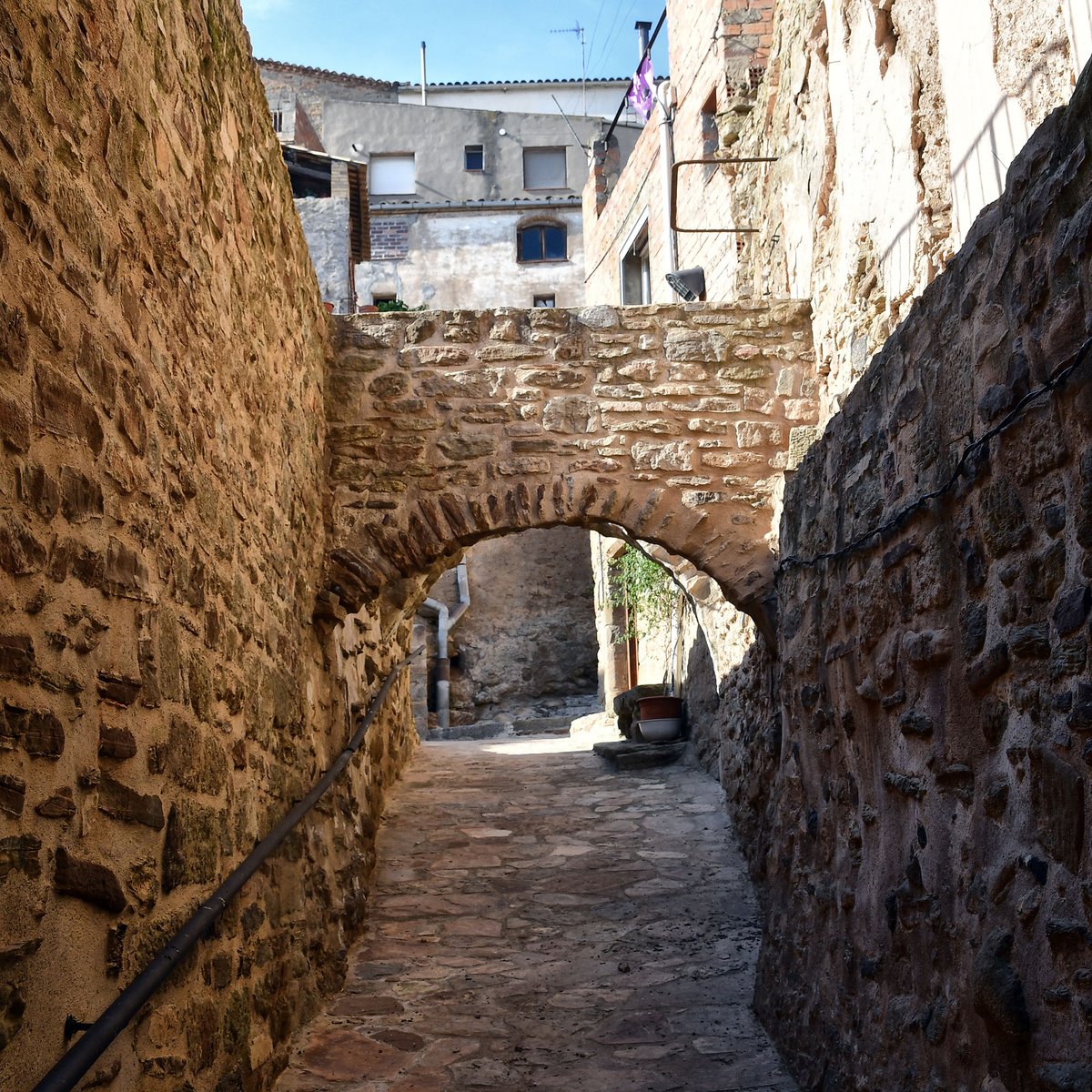 SomSegarra tweet picture