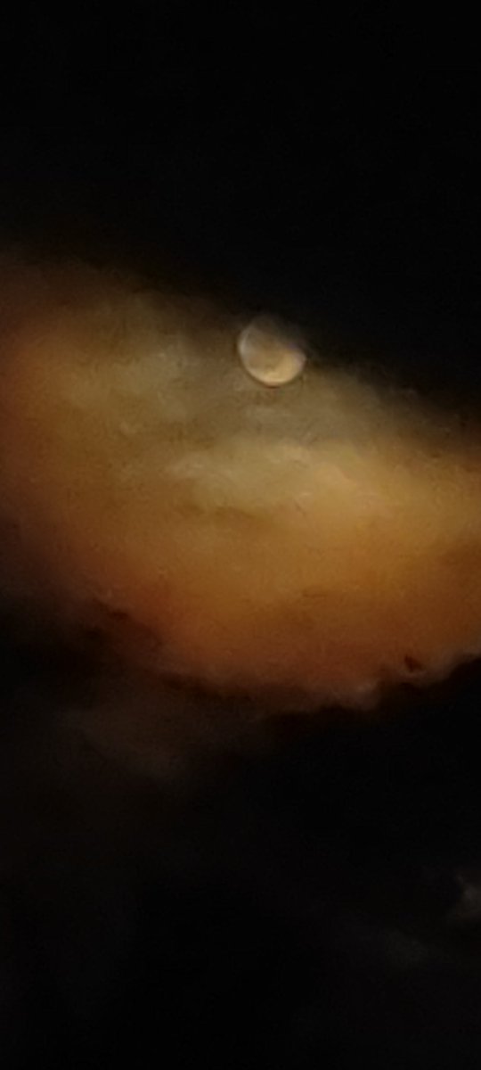 Halloworld45's tweet photo. Eye of the Moon https://t.co/jTprOgH4Ct