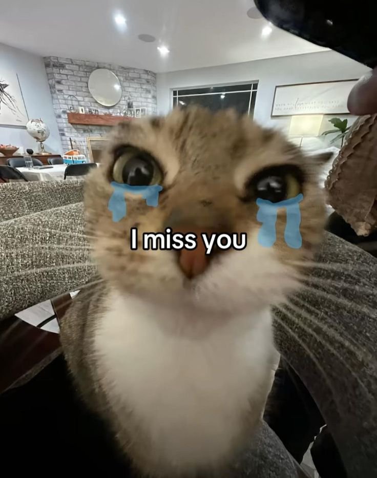 Adingroho46's tweet photo. https://t.co/XmcNGMyoDI