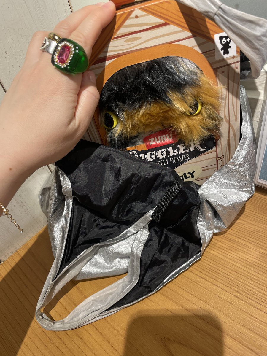うちの子はサビっぽい三毛なので、市販の猫グッズで同じ柄のものは全く