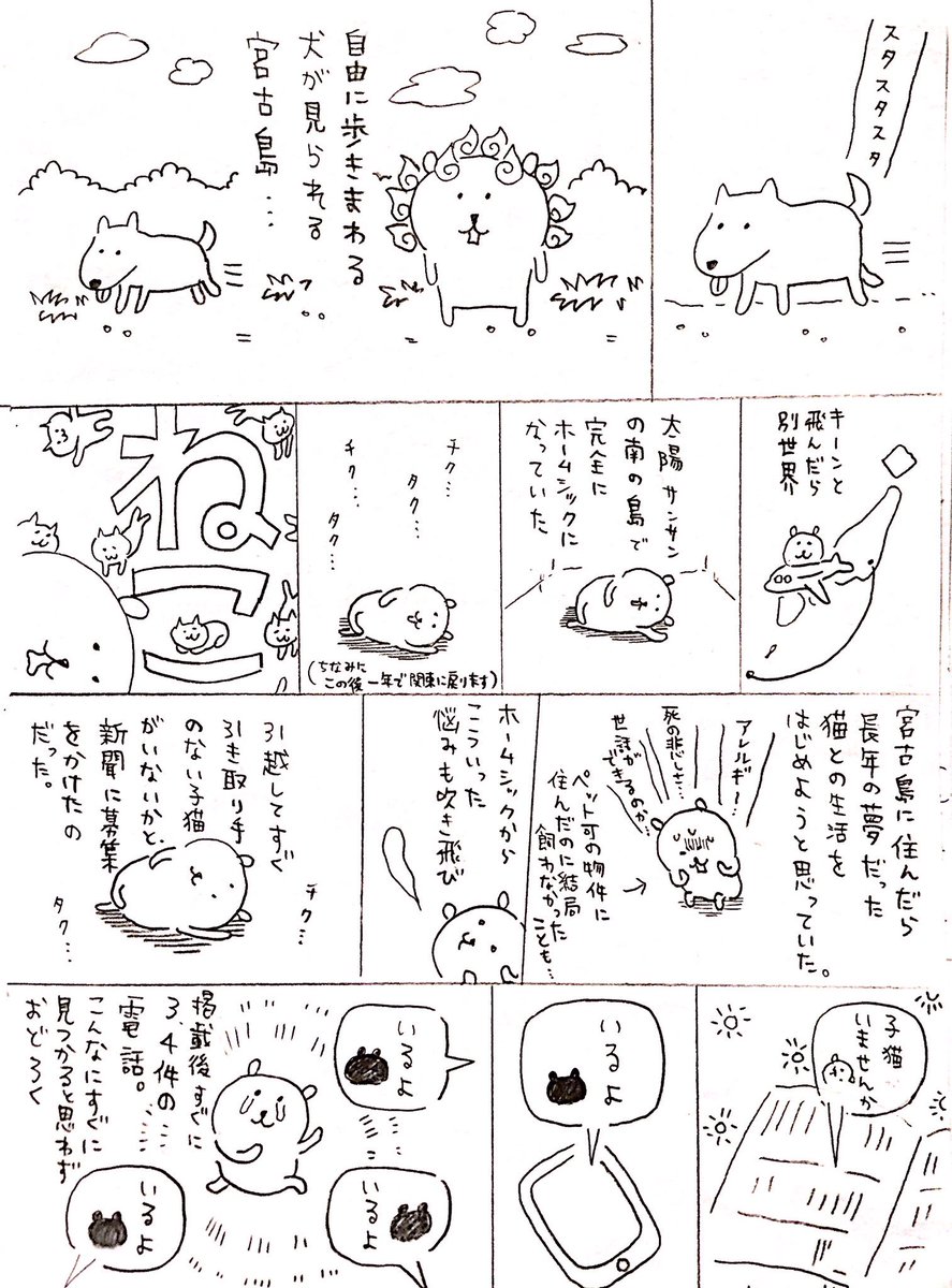 nukeme's tweet photo. ナガノ先生は宮古島で暮らしていた時期があるので、今回の映画にもその影響はかなり出ている気がする https://t.co/6ObmUaQsKh