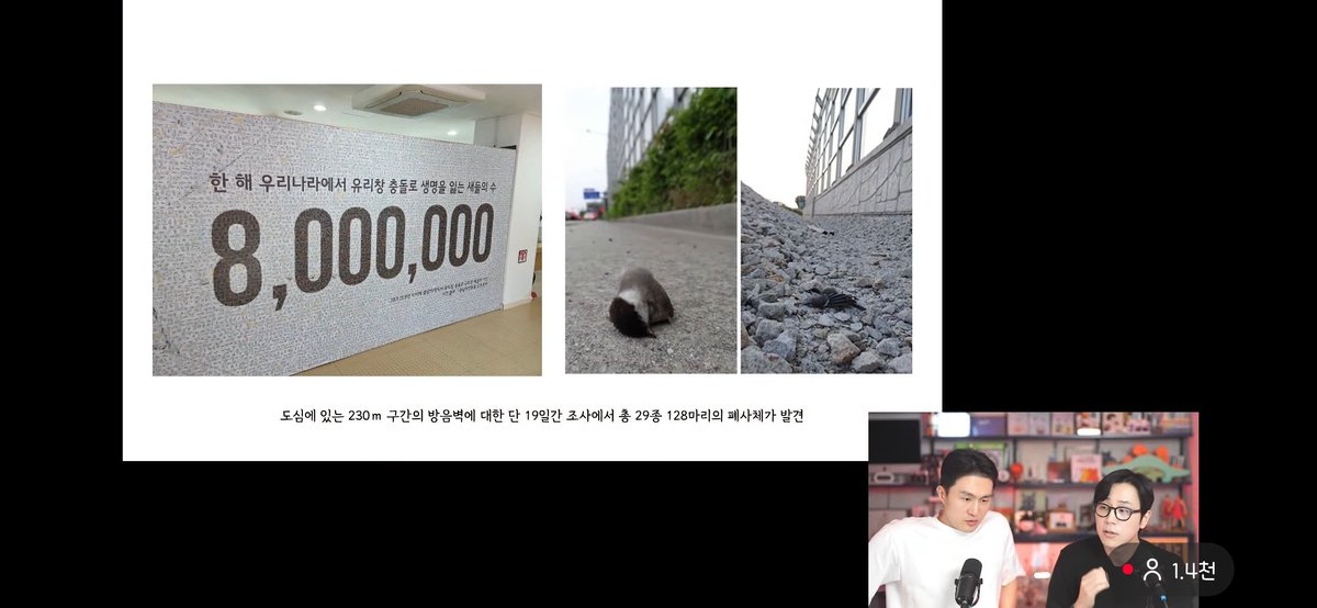 uioppoiuq's tweet photo. 나응식쌤 준비 많이 하셨다

국립생태원에 의하면 유리창에 죽는 새 연800만 마리

서울시는 TNR 효과성 확인 위해 매년 모니터링 중이며 미국 학술지에도 감소 효과 50%라고 저술

캣맘들의 정기 급식소 운영으로 길냥이 포획 가능

서울 수의대 조사시 길냥이 분변에 야생동물 비율 8% 그중 새는 12% https://t.co/ssf07IJrQe