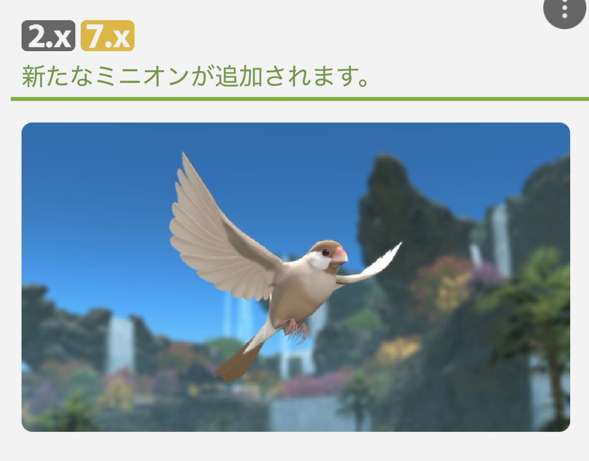 RichardisDRG's tweet photo. 鳥！ https://t.co/5qL9unyUav