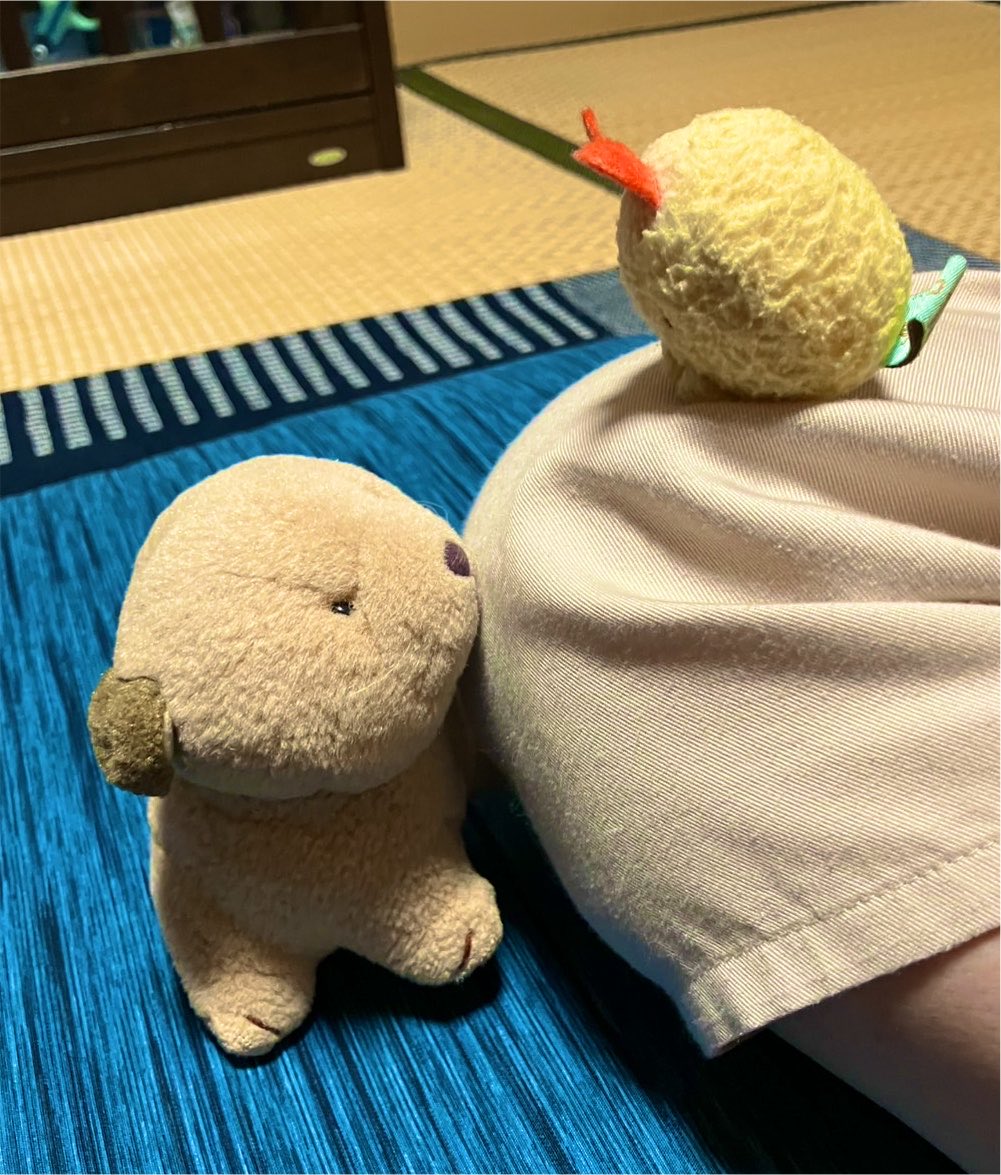 pirin_cute's tweet photo. ここまでおいでー https://t.co/bHVAFCeSKc