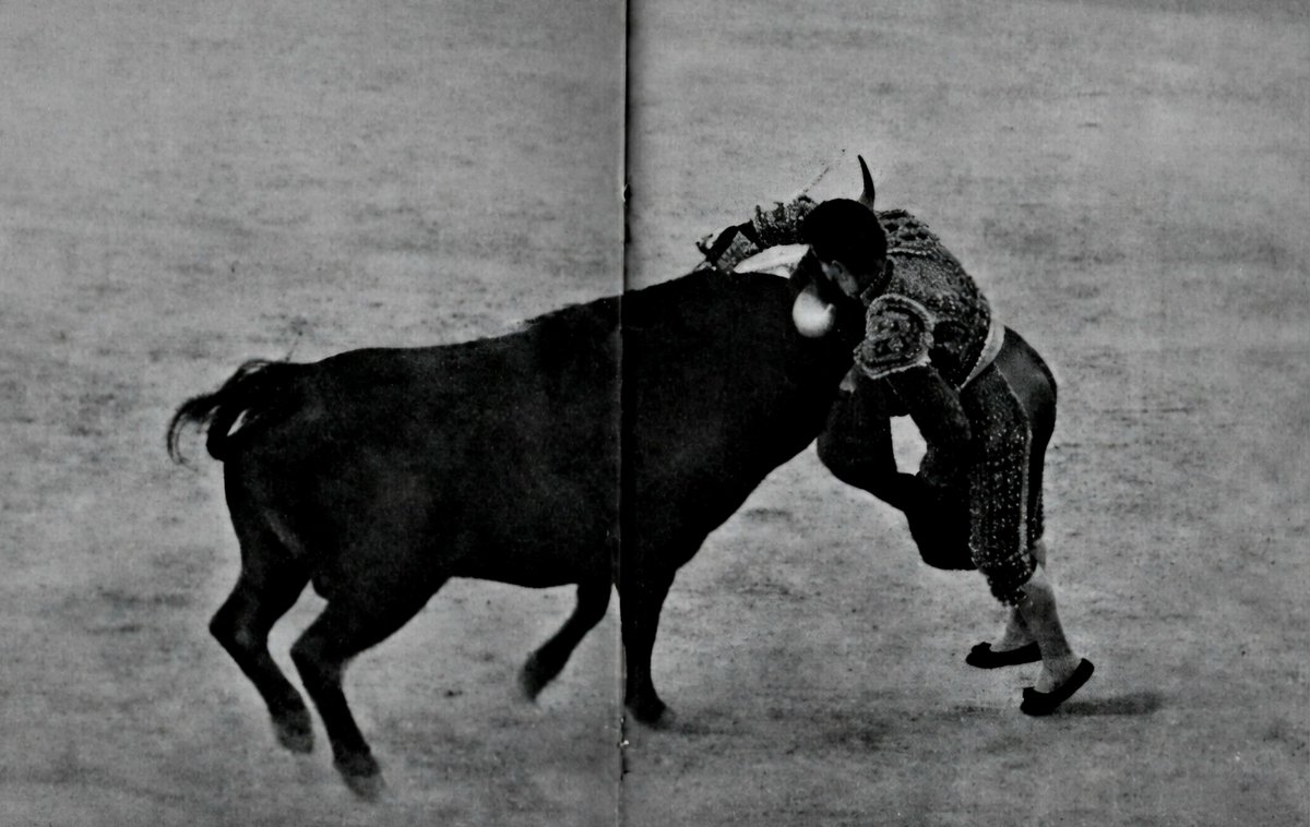 Samsa2111's tweet photo. La Fiesta de los toros en puntas que no humillan ni poco ni mucho cuando van a recibir la estocada, la que el coleta resopla entre aspavientos porque no toca «soñar el toreo», la que sublima la emoción por encima de la belleza impostada con toros a modo y rapsodas cursis. https://t.co/u3rnCUnNoo