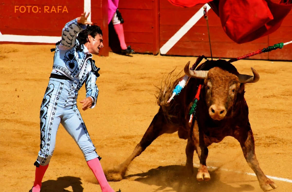 Samsa2111's tweet photo. La Fiesta de los toros en puntas que no humillan ni poco ni mucho cuando van a recibir la estocada, la que el coleta resopla entre aspavientos porque no toca «soñar el toreo», la que sublima la emoción por encima de la belleza impostada con toros a modo y rapsodas cursis. https://t.co/u3rnCUnNoo
