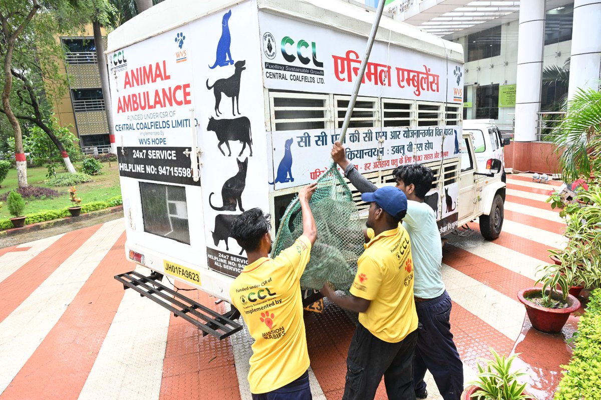 CCLRanchi's tweet photo. 𝑺𝒆𝒏𝒔𝒊𝒕𝒊𝒛𝒂𝒕𝒊𝒐𝒏-𝒄𝒖𝒎-𝑨𝒘𝒂𝒓𝒆𝒏𝒆𝒔𝒔 𝑷𝒓𝒐𝒈𝒓𝒂𝒎𝒎𝒆 𝒐𝒏 𝑺𝒕𝒓𝒂𝒚 𝑫𝒐𝒈 𝑴𝒂𝒏𝒂𝒈𝒆𝒎𝒆𝒏𝒕

CCL conducted a Sensitization-cum-Awareness Programme on Stray Dog Management to promote humane, scientific & sustainable solutions for safer campuses and responsible coexistence of human & animals.

The programme covered legal provisions , employee safety, animal welfare & scientific population management, with participation from GM (CSR), GM (Welfare) & CCL employees.

CCL has been ensuring animal’s welfare through 𝒗𝒂𝒄𝒄𝒊𝒏𝒂𝒕𝒊𝒐𝒏, 𝒔𝒕𝒆𝒓𝒊𝒍𝒊𝒔𝒂𝒕𝒊𝒐𝒏, 𝒓𝒆𝒇𝒍𝒆𝒄𝒕𝒊𝒗𝒆 𝒄𝒐𝒍𝒍𝒂𝒓𝒊𝒏𝒈, 𝒂𝒏𝒅 24×7 𝒓𝒆𝒔𝒄𝒖𝒆, 𝒕𝒓𝒆𝒂𝒕𝒎𝒆𝒏𝒕 & 𝒓𝒆𝒉𝒂𝒃𝒊𝒍𝒊𝒕𝒂𝒕𝒊𝒐𝒏 𝒖𝒏𝒅𝒆𝒓 𝒊𝒕𝒔 𝑪𝑺𝑹 𝒊𝒏𝒊𝒕𝒊𝒂𝒕𝒊𝒗𝒆𝒔 since long in association with WVS Hope.

#CCL #AmazingCCL #CCLForCSR #AnimalWelfare #StrayDogManagement #ResponsibleCoexistence #CSR 

@kishanreddybjp @satishdubeyy @CoalMinistry @CoalIndiaHQ