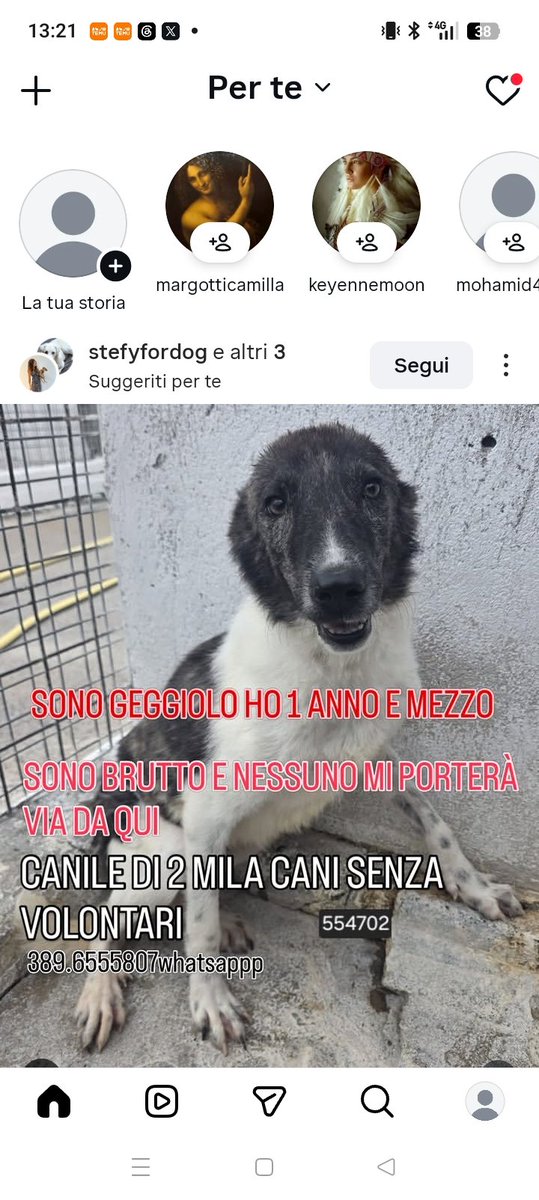 Vardiello2's tweet photo. https://t.co/Y8ZUkfxFKs https://t.co/o2p0IYZbew
