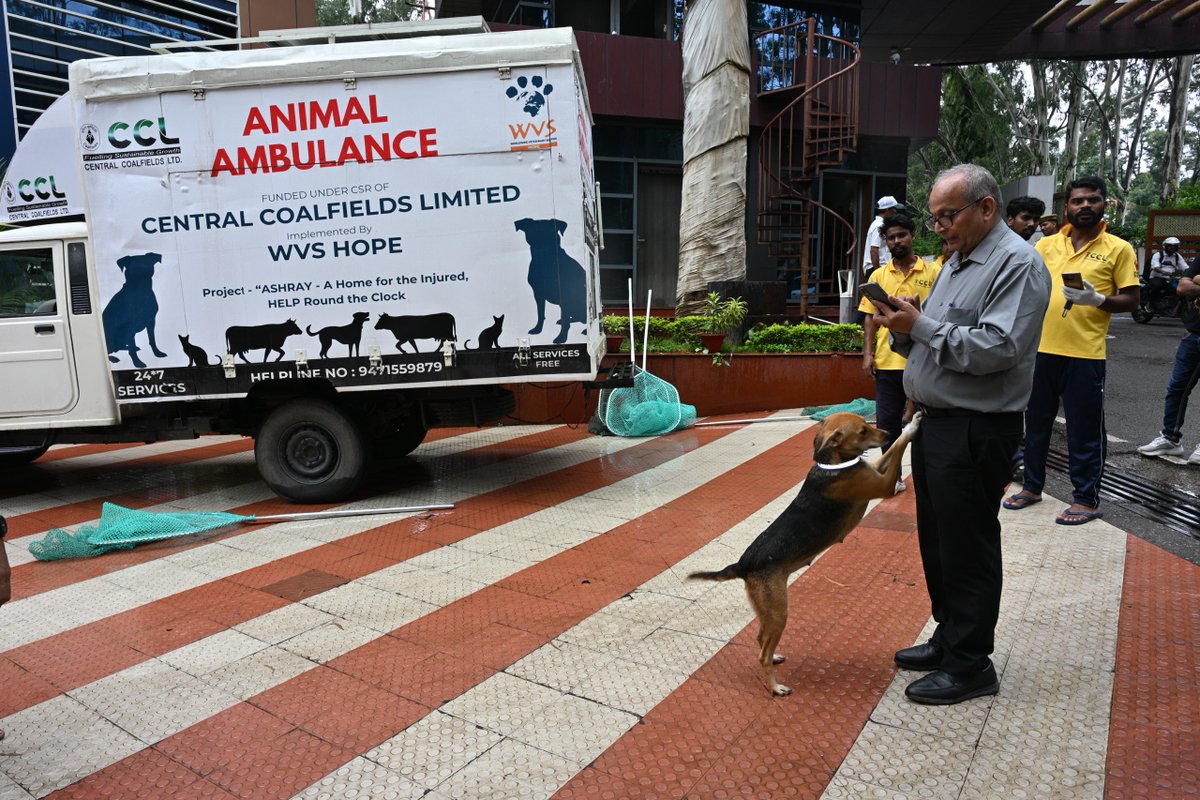 CCLRanchi's tweet photo. 𝑺𝒆𝒏𝒔𝒊𝒕𝒊𝒛𝒂𝒕𝒊𝒐𝒏-𝒄𝒖𝒎-𝑨𝒘𝒂𝒓𝒆𝒏𝒆𝒔𝒔 𝑷𝒓𝒐𝒈𝒓𝒂𝒎𝒎𝒆 𝒐𝒏 𝑺𝒕𝒓𝒂𝒚 𝑫𝒐𝒈 𝑴𝒂𝒏𝒂𝒈𝒆𝒎𝒆𝒏𝒕

CCL conducted a Sensitization-cum-Awareness Programme on Stray Dog Management to promote humane, scientific & sustainable solutions for safer campuses and responsible coexistence of human & animals.

The programme covered legal provisions , employee safety, animal welfare & scientific population management, with participation from GM (CSR), GM (Welfare) & CCL employees.

CCL has been ensuring animal’s welfare through 𝒗𝒂𝒄𝒄𝒊𝒏𝒂𝒕𝒊𝒐𝒏, 𝒔𝒕𝒆𝒓𝒊𝒍𝒊𝒔𝒂𝒕𝒊𝒐𝒏, 𝒓𝒆𝒇𝒍𝒆𝒄𝒕𝒊𝒗𝒆 𝒄𝒐𝒍𝒍𝒂𝒓𝒊𝒏𝒈, 𝒂𝒏𝒅 24×7 𝒓𝒆𝒔𝒄𝒖𝒆, 𝒕𝒓𝒆𝒂𝒕𝒎𝒆𝒏𝒕 & 𝒓𝒆𝒉𝒂𝒃𝒊𝒍𝒊𝒕𝒂𝒕𝒊𝒐𝒏 𝒖𝒏𝒅𝒆𝒓 𝒊𝒕𝒔 𝑪𝑺𝑹 𝒊𝒏𝒊𝒕𝒊𝒂𝒕𝒊𝒗𝒆𝒔 since long in association with WVS Hope.

#CCL #AmazingCCL #CCLForCSR #AnimalWelfare #StrayDogManagement #ResponsibleCoexistence #CSR 

@kishanreddybjp @satishdubeyy @CoalMinistry @CoalIndiaHQ