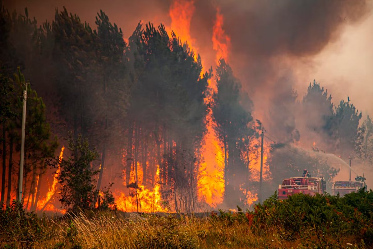 NoviaNewsGroup's tweet photo. 🚨🇫🇷🔥 ALERTE INFO | En Gironde et dans les Landes, la météo se dégrade. Le feu reprend et plusieurs départs d'incendie sont signalés simultanément. https://t.co/P3HyOF5fJ3