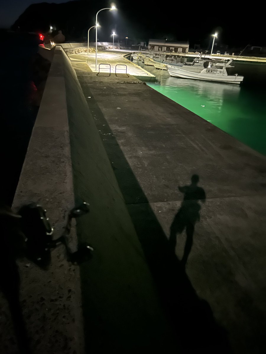 sameko0315's tweet photo. 久々遠くのポイントで夏イカ釣り！
昨日の夕まずめから次の日の朝までエギングでシャクリたおしてきたけど釣れたのはちっさいタコ1杯のみ…(もちろんリリース)
ポイント着いて友人と自分共にイカを1杯ずつバラしてそっから朝方まで虚無という😭修行が足りんな🥲 https://t.co/kBBVBgDmfm