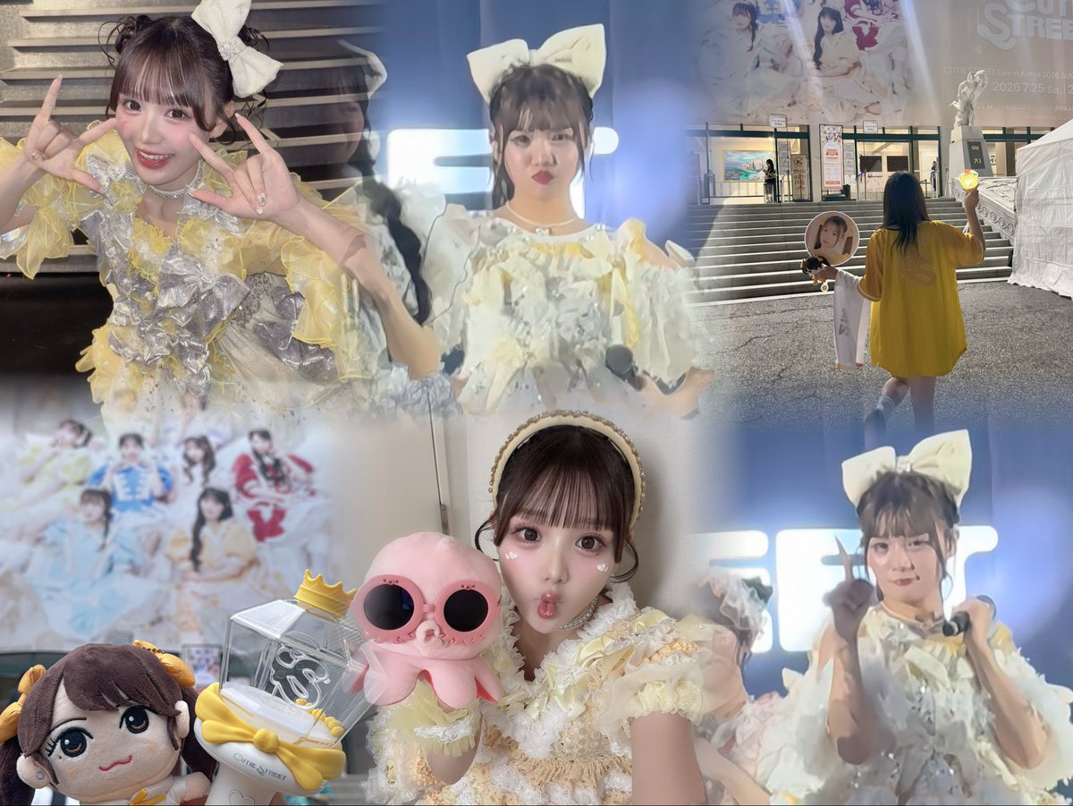 폼폼 tweet media
