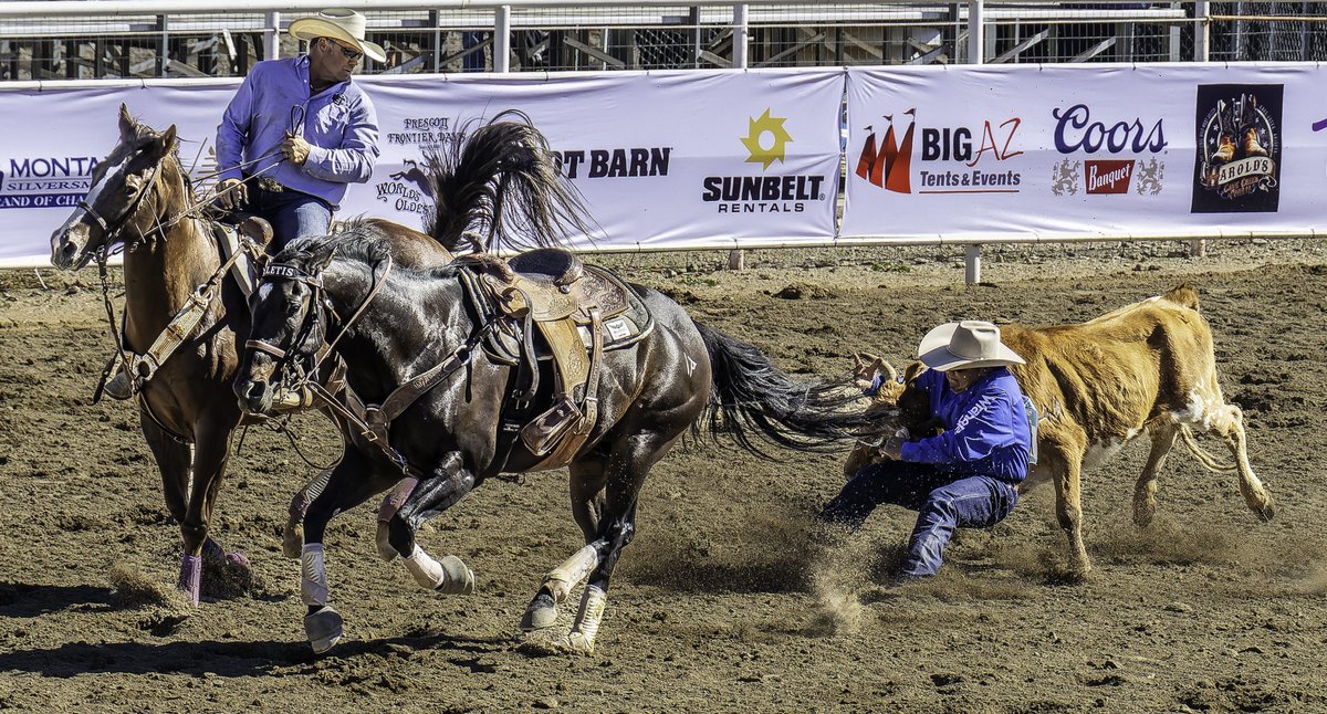 SweetJamesJGP3's tweet photo. From the Turquoise Circuit finals in Cave Creek:  Here is a team roping event featuring mounted riders, a steer, and ropes.  Canon R6m2 &amp; Canon RF 24-240mm lens. https://t.co/sAHP4KqdaF