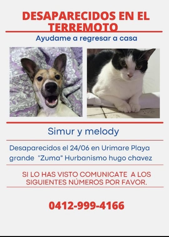 gracon27's tweet photo. #LaGuaira
🚨🚨🚨🚨🚨🚨🚨🚨🚨🚨🚨
Favor difundir 🙏🏻🙏🏻🙏🏻 
Gracias🇻🇪🫂 https://t.co/faYo1K2oN1