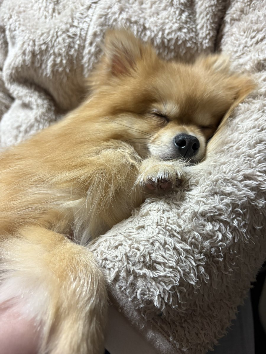 teradalaurant's tweet photo. どうぞ https://t.co/TUTjktQA4M