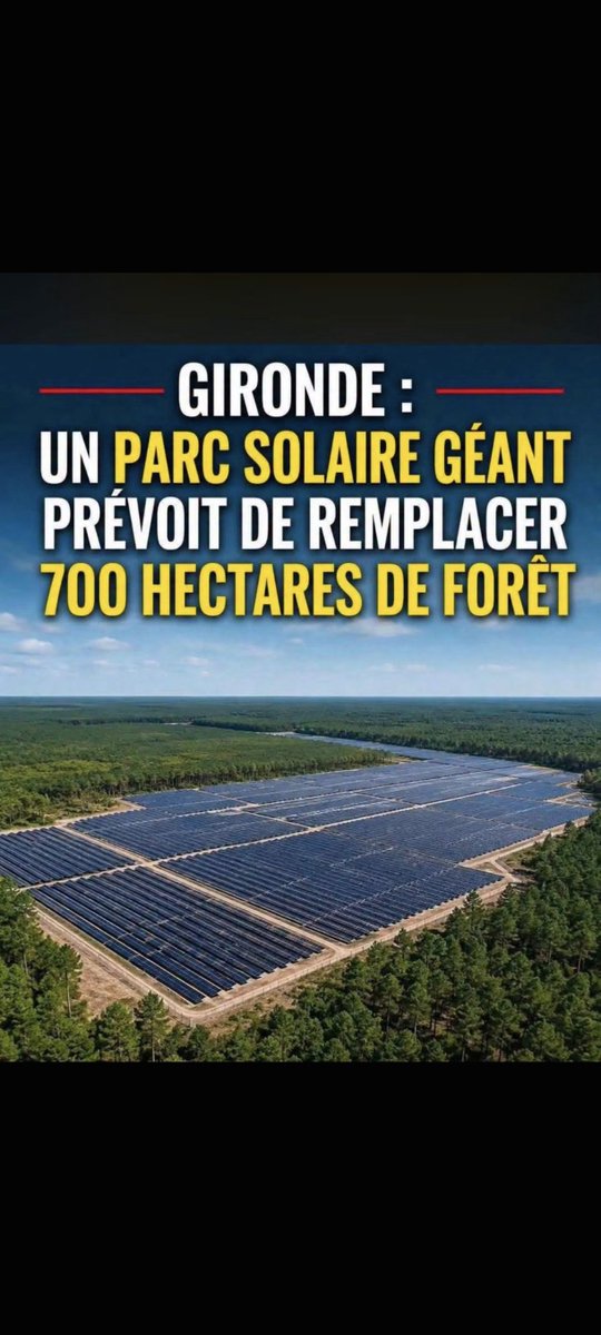 Escalet83's tweet photo. Qui peut m'expliquer ce que signifie «une forêt différente» ?
On sait tous pertinemment qu'#EmmanuelMacron est secoué du bocal mais là, je ne comprends pas ce que veut dire «une forêt différente» ? Un parc de panneaux solaires dégueulasses ? c'est quoi exactement cette arnaque ? https://t.co/QLg9UHIIKh