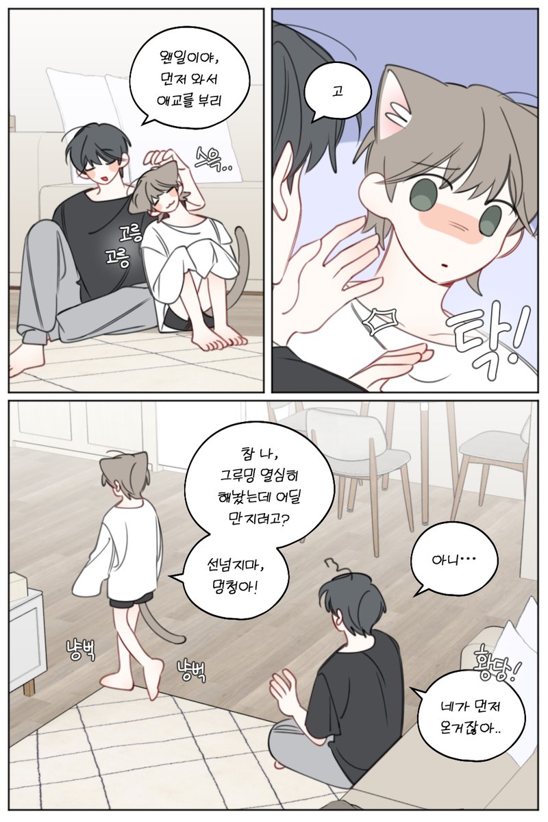 blueciho's tweet photo. 알 수 없는 고양이의 행동들 https://t.co/DzD1tsKNoy