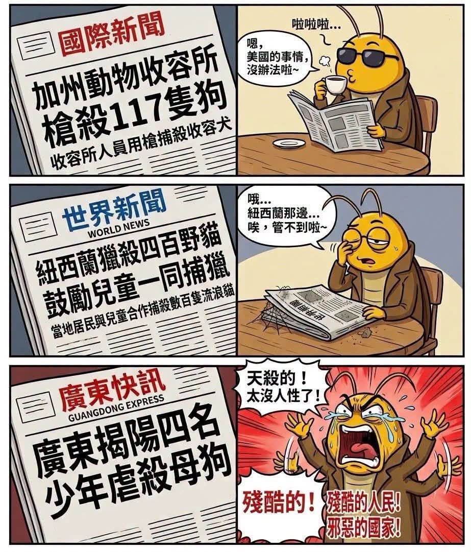 shxpc's tweet photo. @xingzhe2021 https://t.co/ytmUmn1RDP