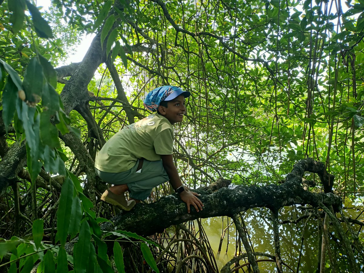 dilrajnp's tweet photo. On #WorldMangroveDay (July 26), we celebrate Kochi's hidden green treasure — a 40-acre Mangrove Island with century-old true mangroves.

Ideal site for a Mangrove Heritage Park & sustainable tourism island.

Calling responsible investors & partners to co-create this legacy. DM to explore. #MangroveConservation