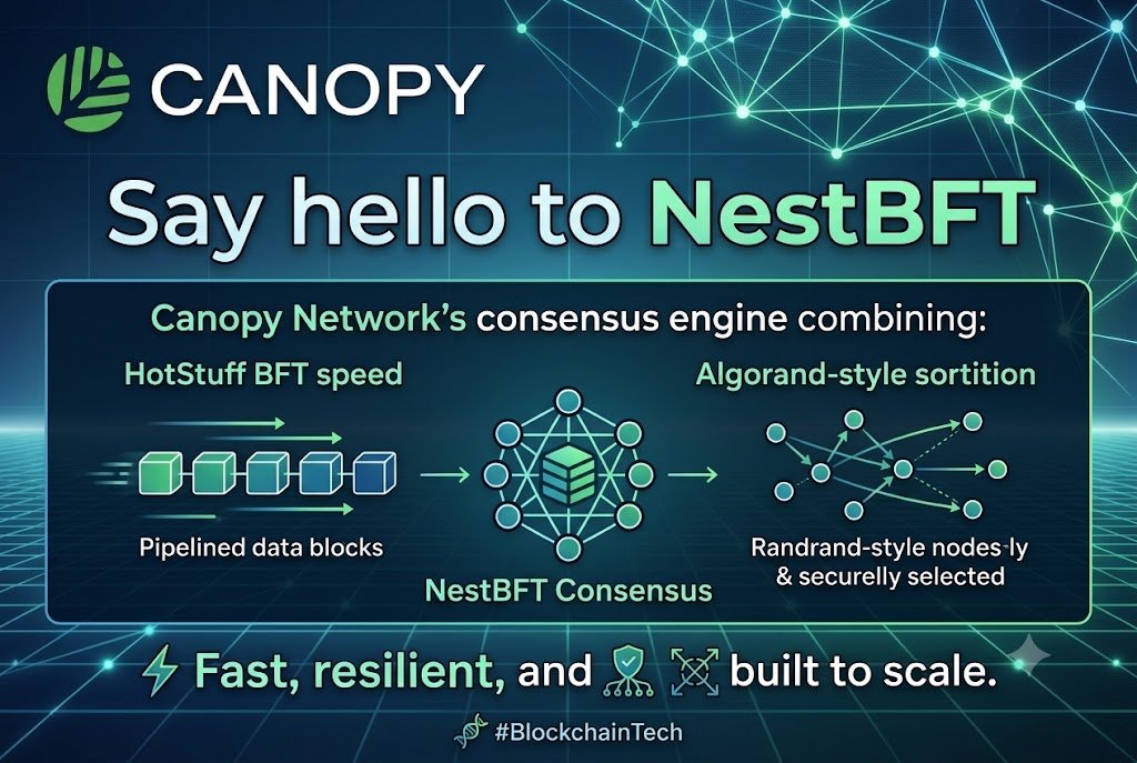 Kasih_official's tweet photo. Say hello to NestBFT
Canopy Networkโs consensus engine combining HotStuff BFT speed with Algorand-style sortition. Fast, resilient, and built to scale.
@CNPYNetwork
#Web3 #BlockchainTech #CanopyNetwork https://t.co/i4KnvmpQbS