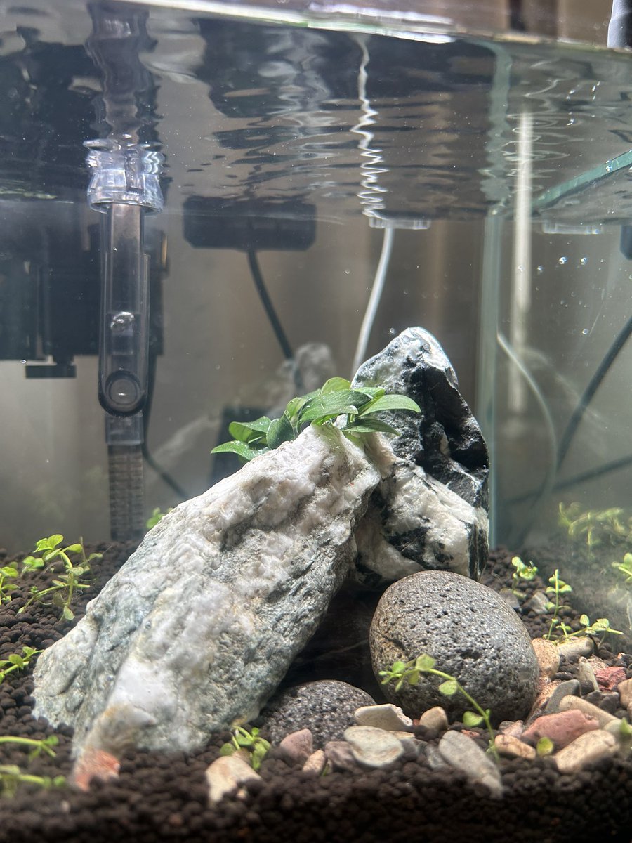 Duckkksound's tweet photo. No fish , just peace https://t.co/V3FmHNWaP0