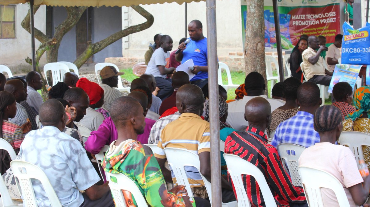 kilimoEAC's tweet photo. 𝐁𝐨𝐨𝐬𝐭𝐢𝐧𝐠 𝐦𝐚𝐢𝐳𝐞 𝐩𝐫𝐨𝐝𝐮𝐜𝐭𝐢𝐯𝐢𝐭𝐲 𝐢𝐧 𝐞𝐚𝐬𝐭𝐞𝐫𝐧 𝐔𝐠𝐚𝐧𝐝𝐚: 𝐞𝐦𝐩𝐨𝐰𝐞𝐫𝐢𝐧𝐠 𝐟𝐚𝐫𝐦𝐞𝐫𝐬 𝐰𝐢𝐭𝐡 𝐤𝐧𝐨𝐰𝐥𝐞𝐝𝐠𝐞, 𝐩𝐚𝐫𝐭𝐧𝐞𝐫𝐬𝐡𝐢𝐩𝐬, 𝐚𝐧𝐝 𝐢𝐦𝐩𝐫𝐨𝐯𝐞𝐝 𝐟𝐚𝐫𝐦𝐢𝐧𝐠 𝐩𝐫𝐚𝐜𝐭𝐢𝐜𝐞𝐬.

In eastern Uganda, maize is more than a staple crop—it's a source of food security, household income, and economic opportunity for thousands of smallholder farmers. But limited access to knowledge, quality inputs, and market opportunities continues to hold many farmers back.

Recently, Kilimo Trust brought together farmers and key stakeholders in Mbale for a regional field day to strengthen farmer knowledge, showcase improved maize production practices, and foster stronger linkages to agricultural services and markets.

Through practical demonstrations, farmers learned about improved maize production, integrated pest and weed management, fertilizer application, and other recommended agronomic practices that can help increase productivity and resilience.

The field day also gave farmers an opportunity to share experiences, ask questions, engage with agricultural experts and implementing partners, and connect with Village-Based Agents and agro-dealers—turning knowledge into action and strengthening the networks that support farming communities.

Through the Maize Technologies Promotion Project (MaTPP III), implemented, we continue empowering smallholder farmers with the knowledge, skills, and partnerships they need to improve productivity, strengthen their livelihoods, and build more resilient farming systems.