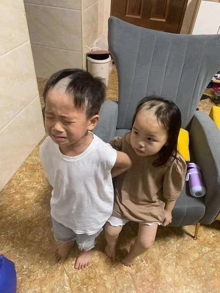 ๐๐๐ค๐ง๐๐๐ฃ๐ ๐๐ ๐พ๐๐ก๐๐จ๐ฉ๐ tweet media