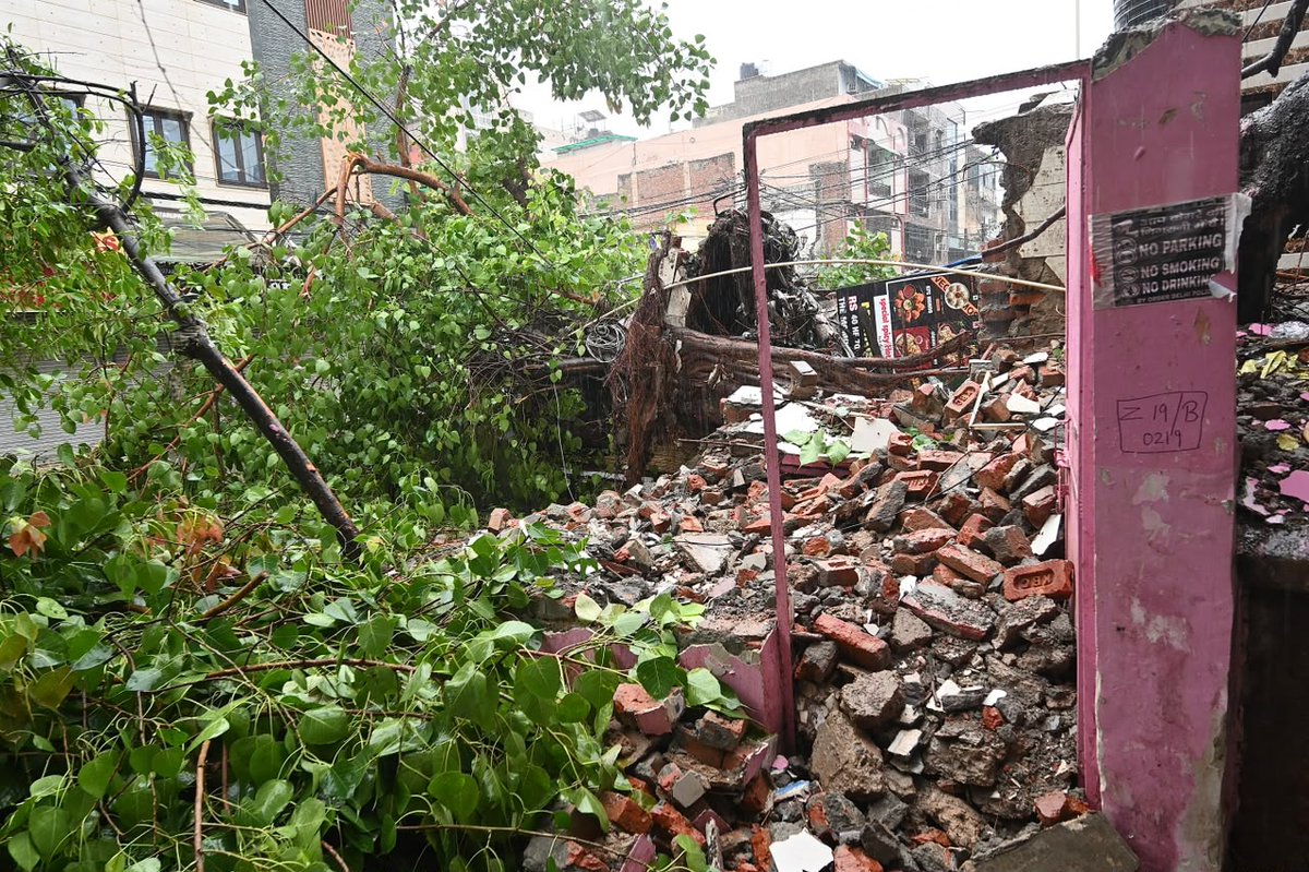 htTweets's tweet photo. #InPhotos | Heavy rain and strong winds uprooted a tree in New Delhi's Patel Nagar, damaging a police booth and blocking the road.

(📷: @sanchit2294 / Hindustan Times) https://t.co/y7pjMPKccE