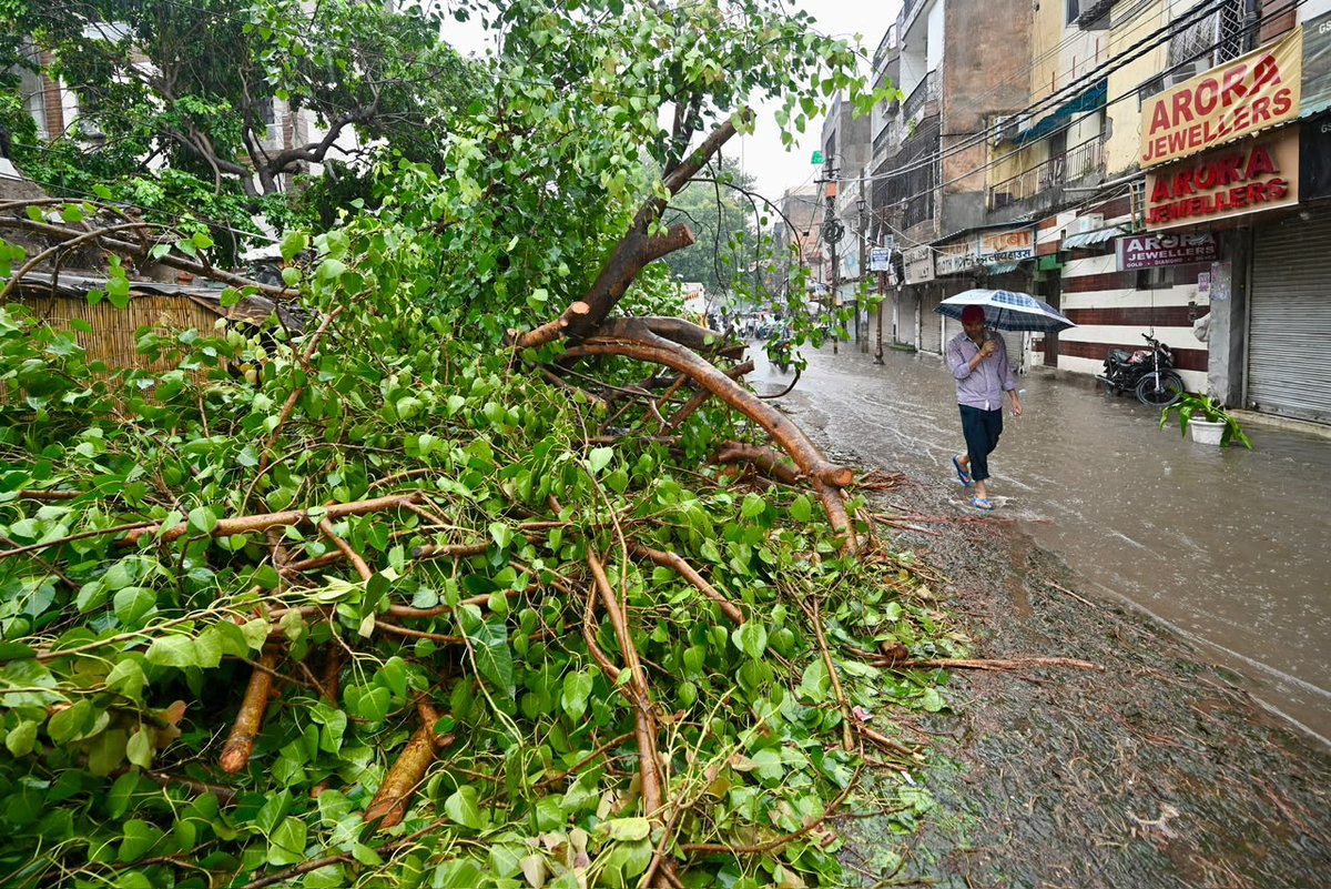 htTweets's tweet photo. #InPhotos | Heavy rain and strong winds uprooted a tree in New Delhi's Patel Nagar, damaging a police booth and blocking the road.

(📷: @sanchit2294 / Hindustan Times) https://t.co/y7pjMPKccE