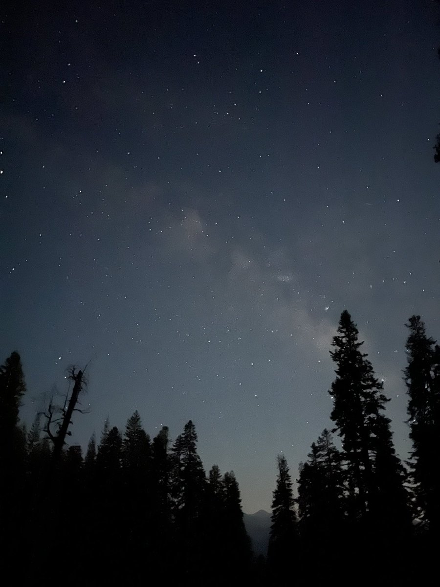 SleeperCellSith's tweet photo. I live for nights like these https://t.co/c1vgmWPocq