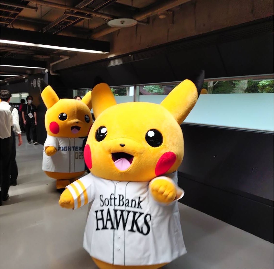 ht01_sb23's tweet photo. ピカチュウ可愛すぎる⚡️o'ᆺ'o⚡️ https://t.co/XFlHq964lE