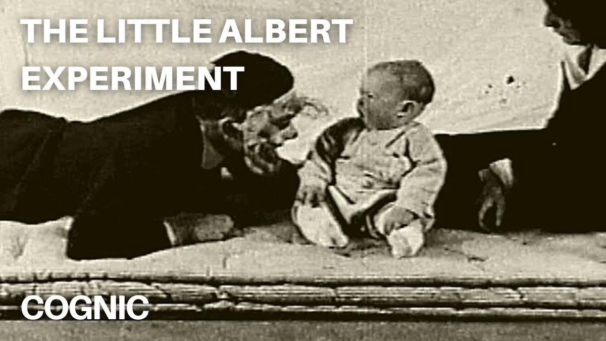 Infamous25Sice's tweet photo. @vier4x4 Bocil yg cocok untuk ekperimen little albert https://t.co/pOclpix9p9