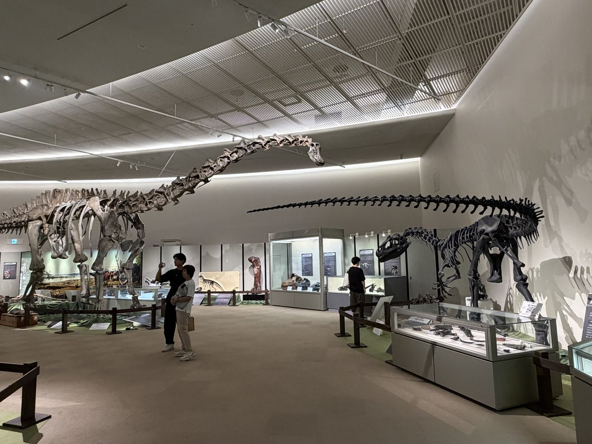 Paleoparadoxian's tweet photo. 群馬県立自然史博物館
北米ジュラ紀の恐竜たち

うーん、いい…✨✨
この対決風に置いてあるのは意図的なんだろうなぁ https://t.co/bO4bvK2bTd