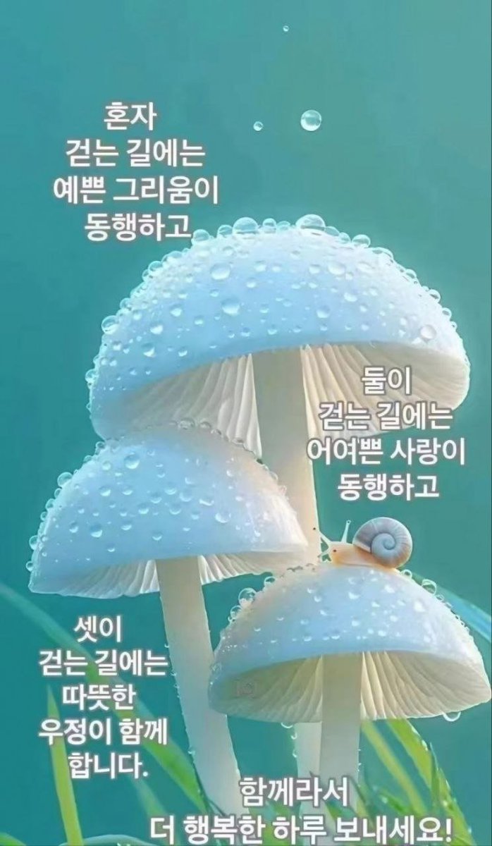 landnew3's tweet photo. #행복한동행 #힐링타임 #서울 https://t.co/HCWUmgbwJE