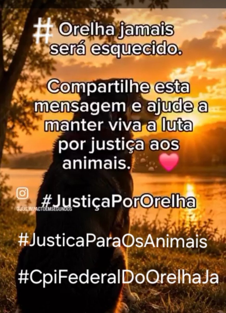 Cristin96731220's tweet photo. #CpiFederalDoOrelhaJa https://t.co/v2fRLRAz28