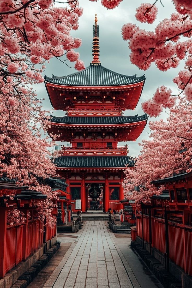 96317Abbas's tweet photo. Sakura, Japan 🇯🇵🌸 https://t.co/yy8BScG2zO