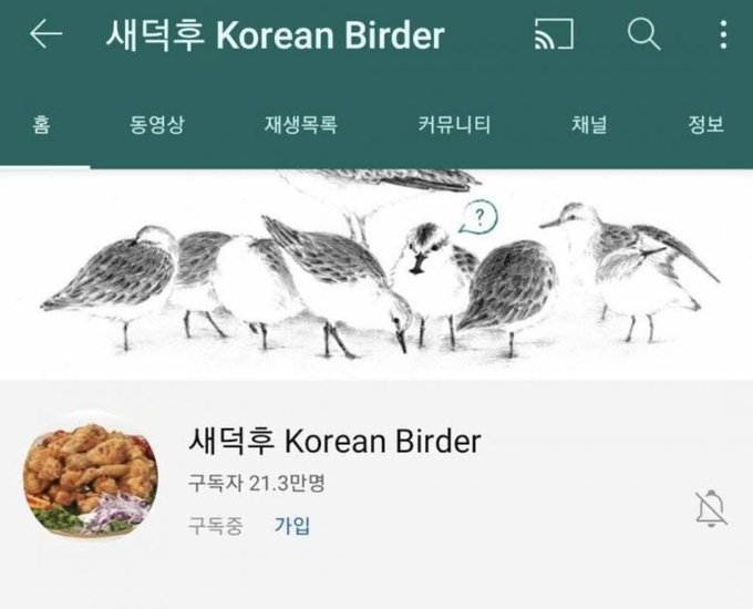 HavCommi's tweet photo. 맞음 이런 짓을 했던 놈이 거룩한척 하며 새를 위해 고양이들을 죽일 수 밖에 없습니다. 하면 얼마나 모순적이냐. https://t.co/SYmdFqQw02