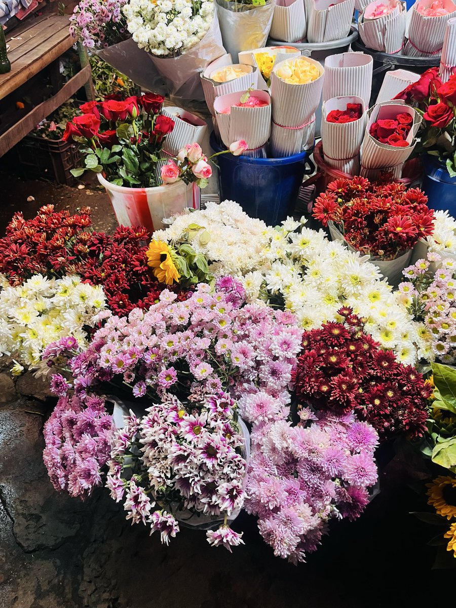 YapFuse's tweet photo. For youh❤️🌻 https://t.co/4sKkACdYph