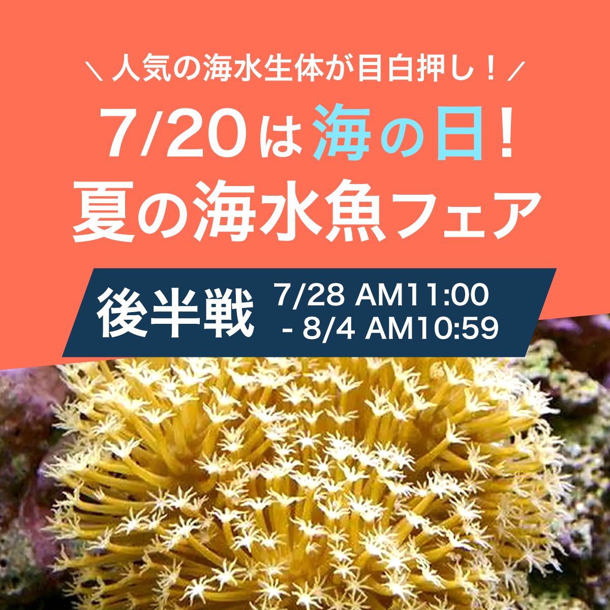 チャーム公式 (@shopcharm) / Posts / X